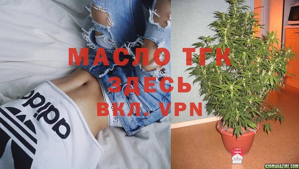 mdpv Инта
