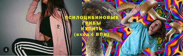бутират Инсар