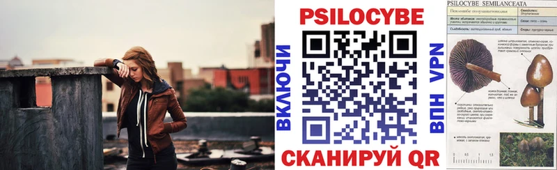 Галлюциногенные грибы Psilocybine cubensis  Купить где  Верхотурье 